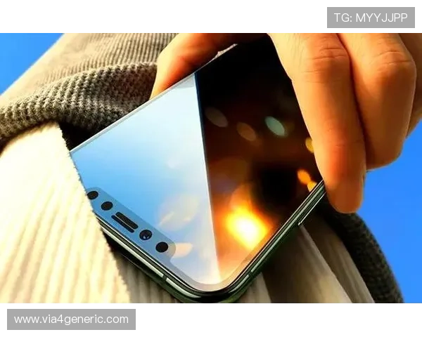 凤凰体育在线买球安全保障措施详解确保您的资金与个人信息安全的实用建议