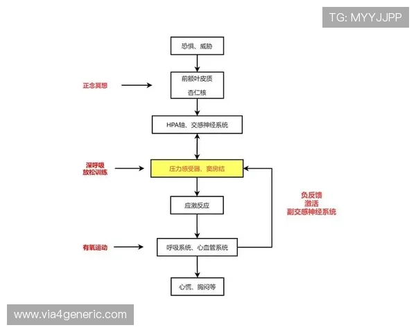 海星体育网站用户评论与反馈机制如何提升平台服务质量