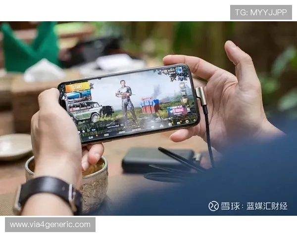 环球游戏平台为玩家提供的安全保障措施与优质客户服务全面解析
